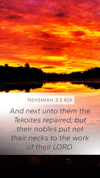 Nehemiah 3:5 Explained