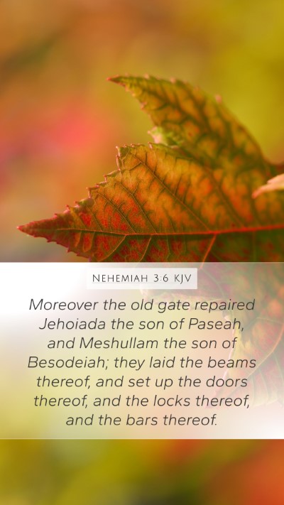 Nehemiah 3:6 Explained