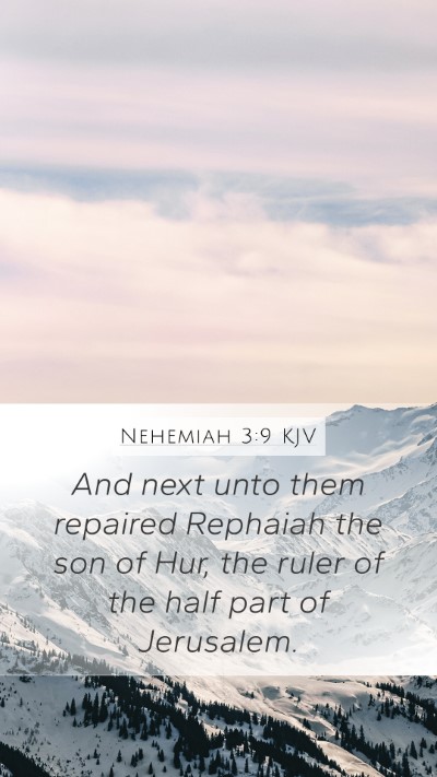 Nehemiah 3:9 Explained