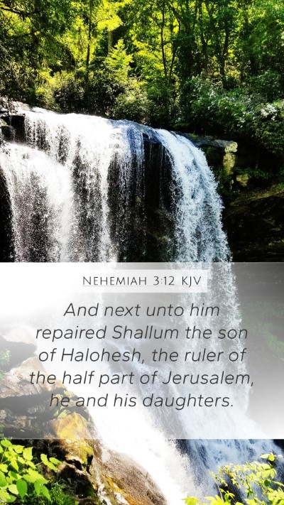 Nehemiah 3:12 Explained