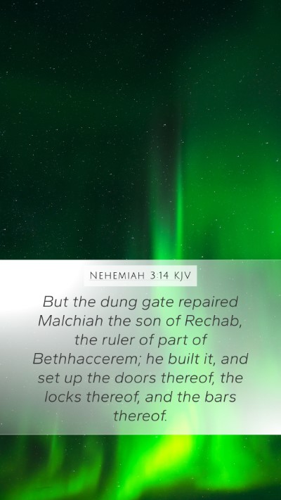 Nehemiah 3:14 Explained