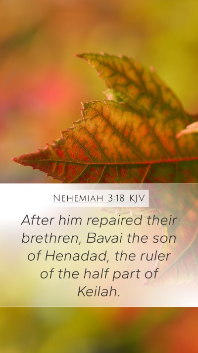 Nehemiah 3:18 Explained