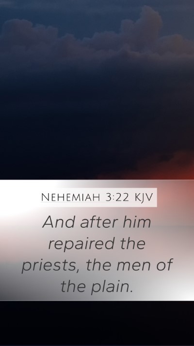 Nehemiah 3:22 Explained