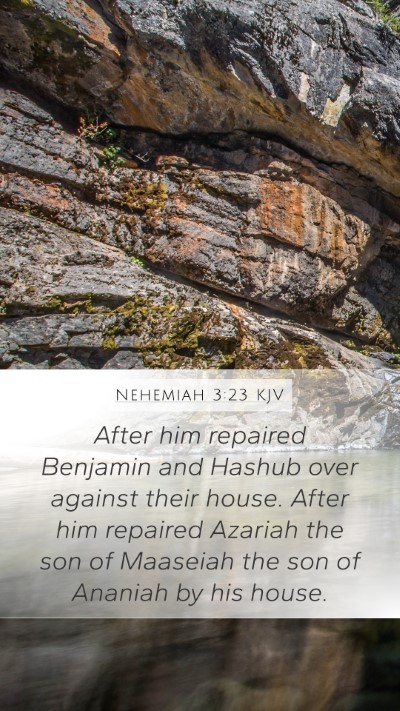 Nehemiah 3:23 Explained