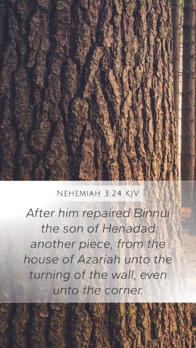 Nehemiah 3:24 Explained