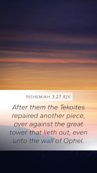 Nehemiah 3:27 Explained