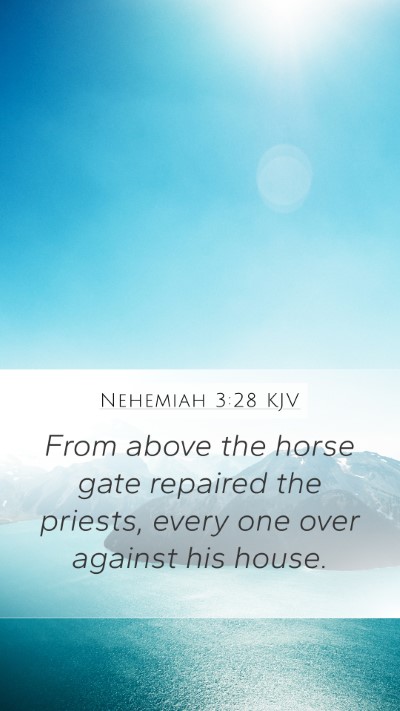 Nehemiah 3:28 Explained