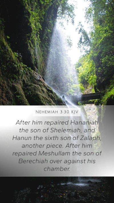 Nehemiah 3:30 Explained