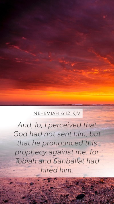 Nehemiah 6:12 Explained