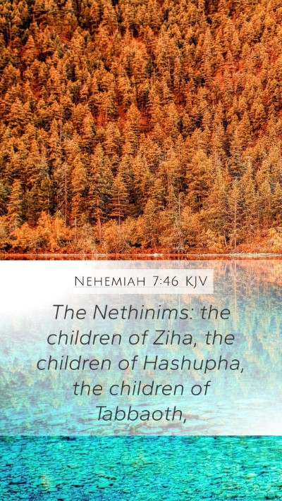 Nehemiah 7:46 Explained