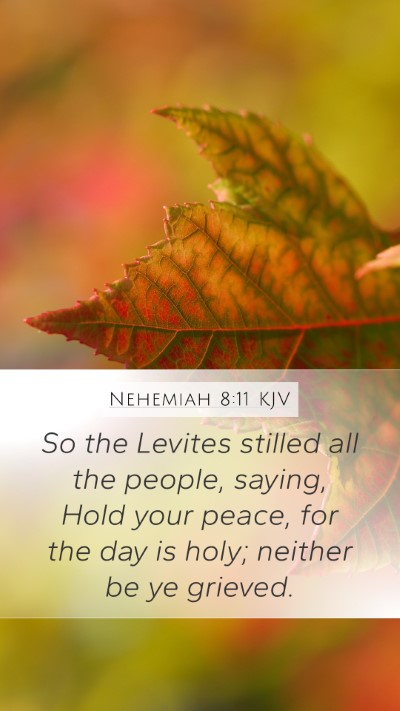 Nehemiah 8:11 Explained