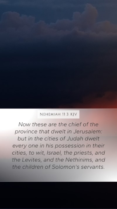 Nehemiah 11:3 Explained