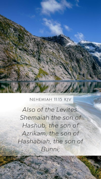 Nehemiah 11:15 Explained