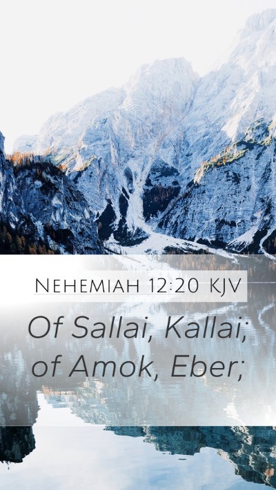 Nehemiah 12:20 Explained