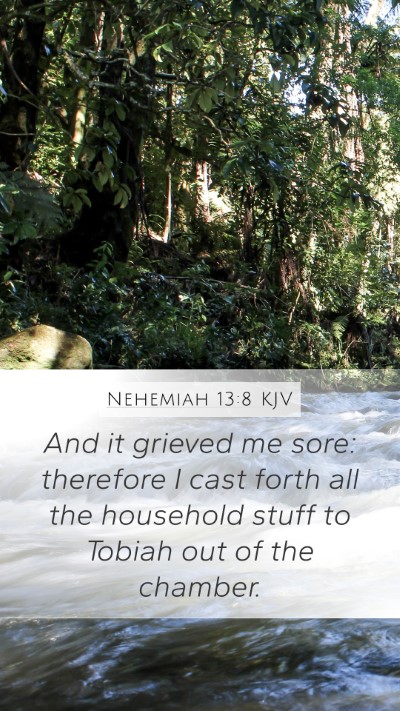 Nehemiah 13:8 Explained