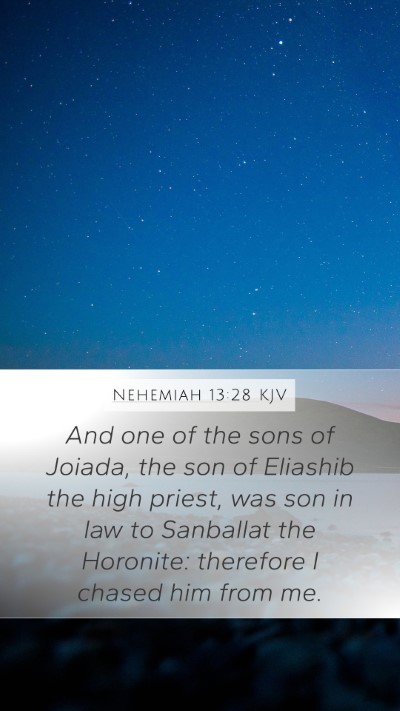 Nehemiah 13:28 Explained