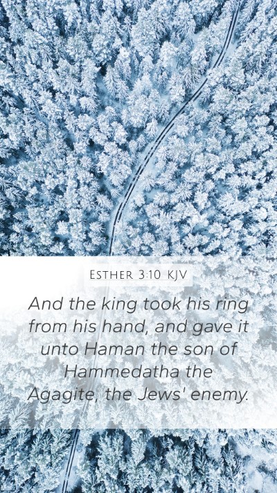 Esther 3:10 Explained