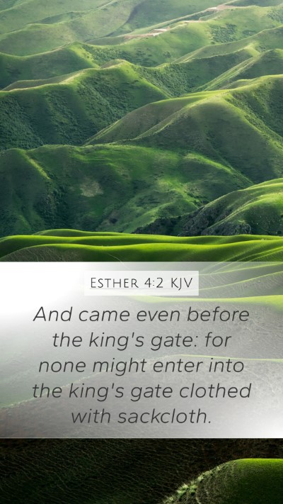 Esther 4:2 Explained