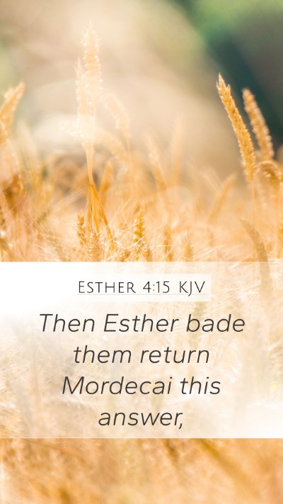 Esther 4:15 Explained