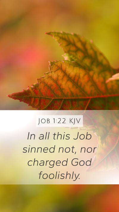 Job 1:22 Explained