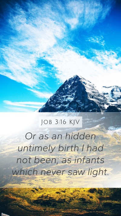 Job 3:16 Explained