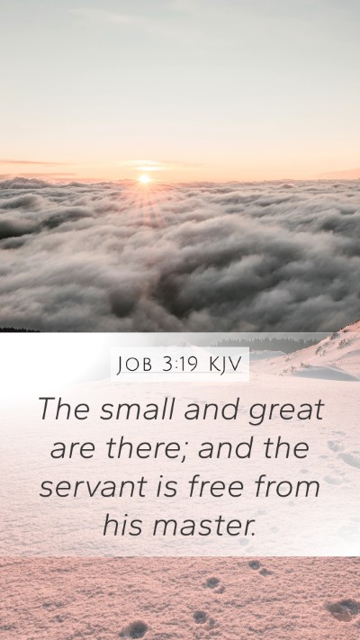 Job 3:19 Explained