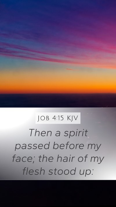 Job 4:15 Explained