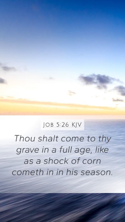 Job 5:26 Explained