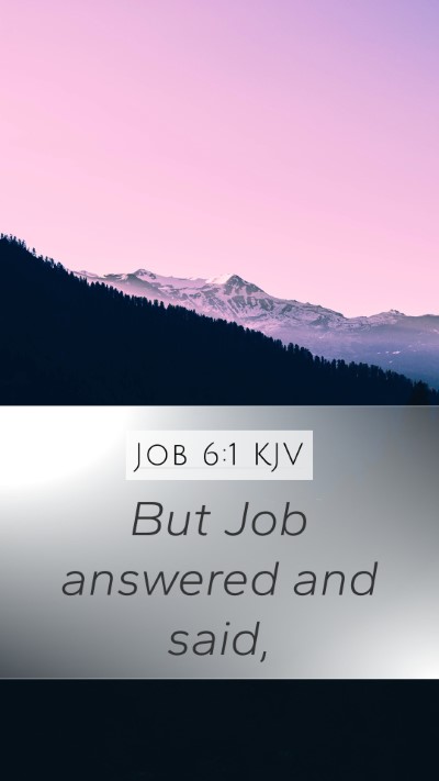 Job 6:1 Explained