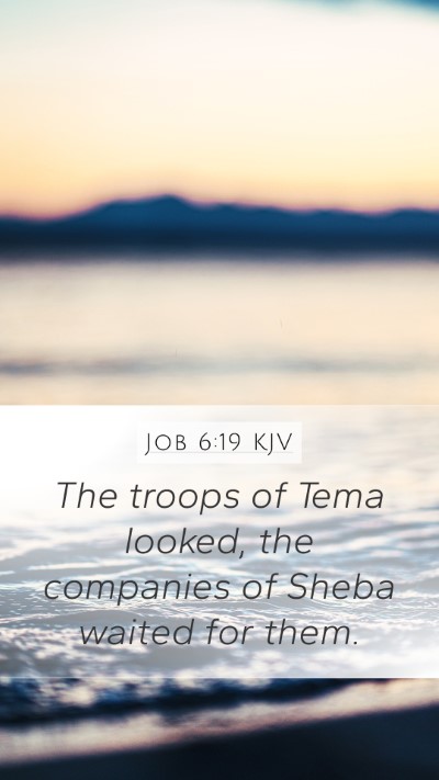 Job 6:19 Explained