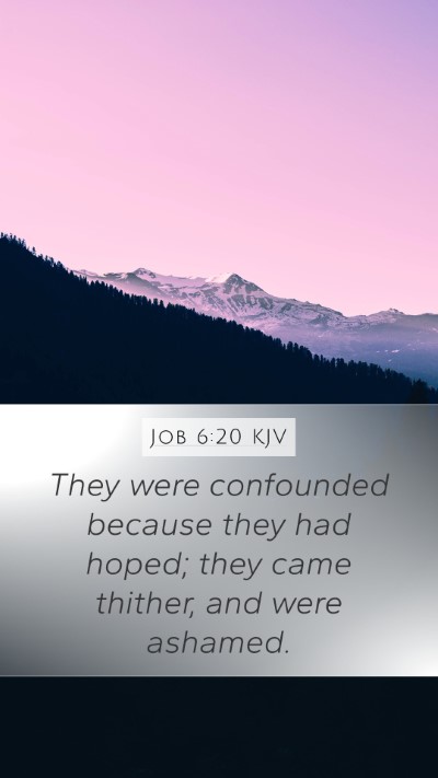 Job 6:20 Explained