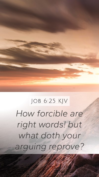 Job 6:25 Explained