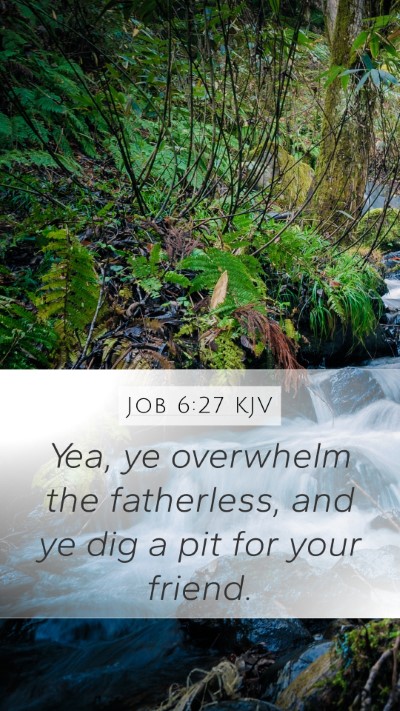 Job 6:27 Explained