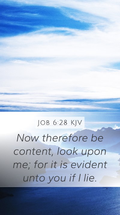 Job 6:28 Explained