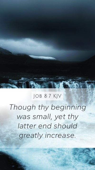 Job 8:7 Explained