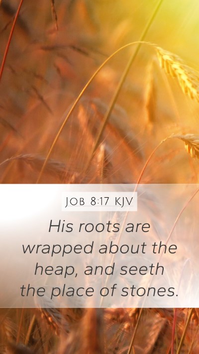 Job 8:17 Explained