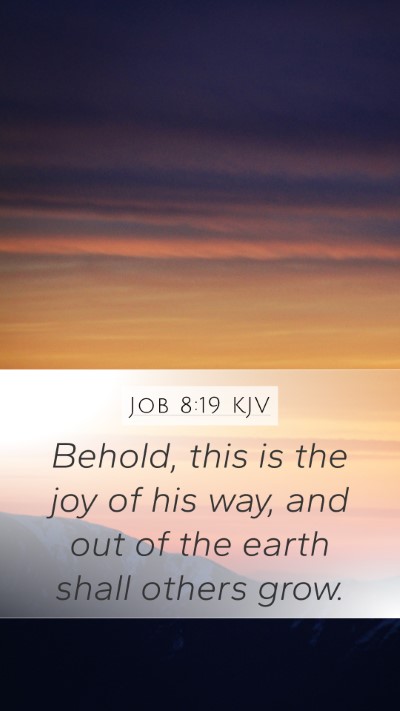 Job 8:19 Explained