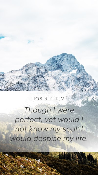 Job 9:21 Explained