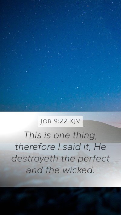 Job 9:22 Explained