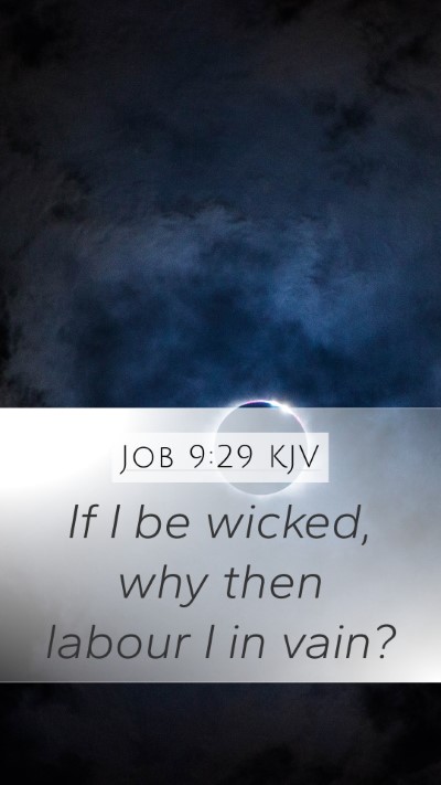 Job 9:29 Explained