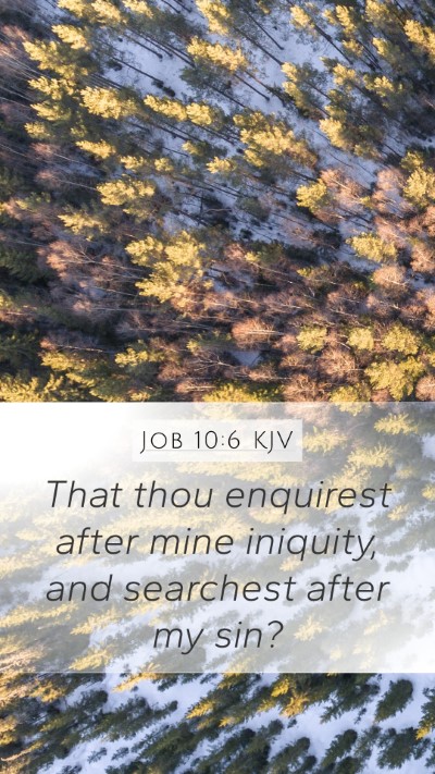 Job 10:6 Explained