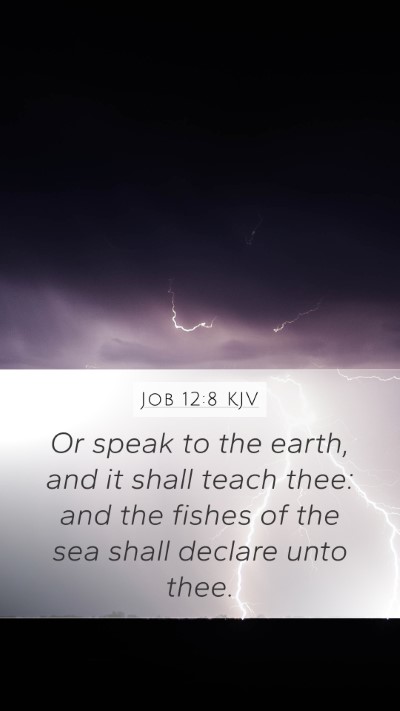 Job 12:8 Explained