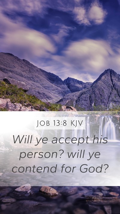 Job 13:8 Explained