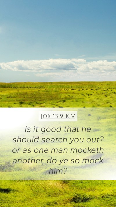 Job 13:9 Explained