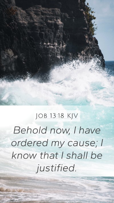 Job 13:18 Explained