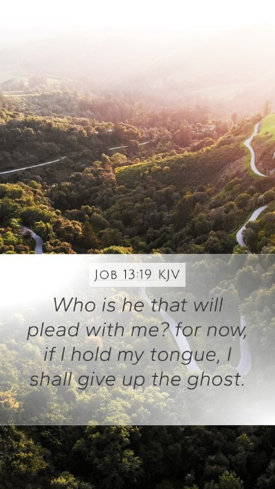 Job 13:19 Explained