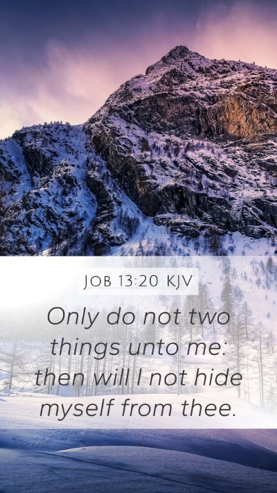 Job 13:20 Explained