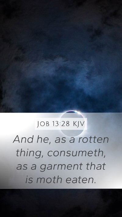 Job 13:28 Explained