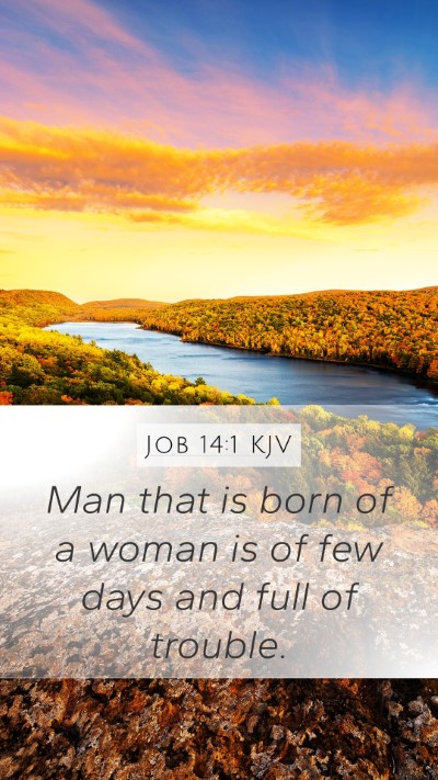 Job 14:1 Explained