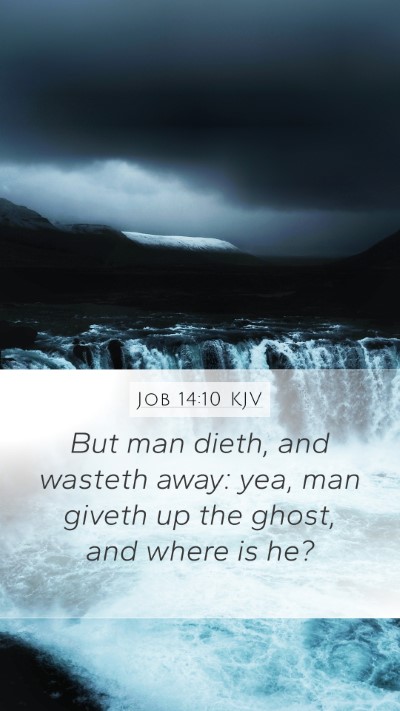 Job 14:10 Explained